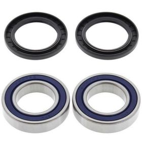 ALL BALLS komplettes Radlager-Kit 25-1321 und Dichtungsring für Polaris