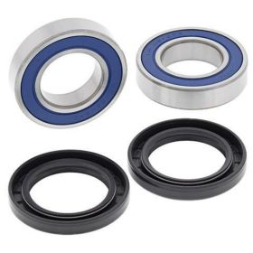 Kit cuscinetti ruota ALL BALLS completo 25-1397 e anello di tenuta