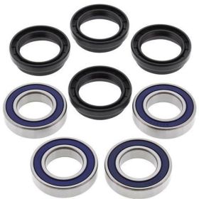 ALL BALLS komplettes Radlager-Kit 25-1409 und Dichtungsring für Yamaha YFM 660