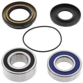 Kit cuscinetti ruota ALL BALLS completo 25-1478 e anello di tenuta per Suzuki