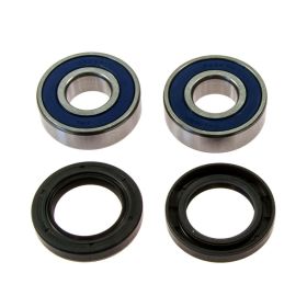 Kit cuscinetti ruota ALL BALLS completo 25-1491 e anello di tenuta