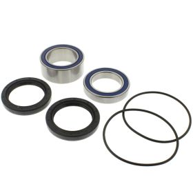 ALL BALLS komplettes Radlager-Kit 25-1620 und Dichtungsring für Kawasaki KFX 450 R