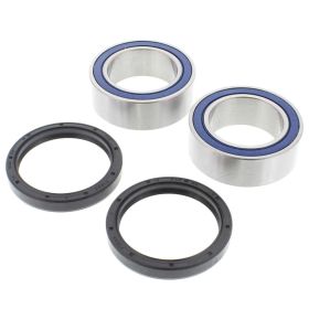 Kit cuscinetti ruota ALL BALLS completo 25-1663 e anello di tenuta