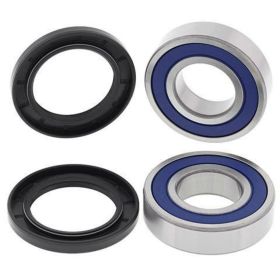 ALL BALLS complete wheel bearing kit 25-1697 and sealing ring for Cf Moto RANCHER 500