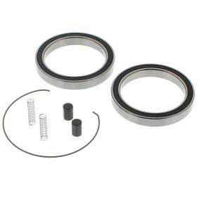 Kit cuscinetti ruota libera frizione ALL BALLS 25-1716 per Can-Am