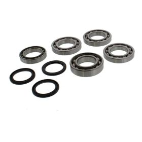 Kit revisione differenziale ALL BALLS 25-2077 completo per Polaris RZR 800