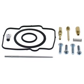 Kit revisione carburatore All Balls Racing 26-1742 completo
