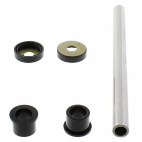 Kit revisione braccio oscillante ALL BALLS 50-1005 per Yamaha