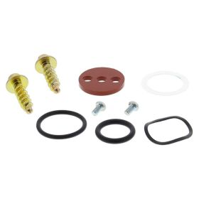 Kit revisione rubinetto benzina All Balls Racing 60-1022