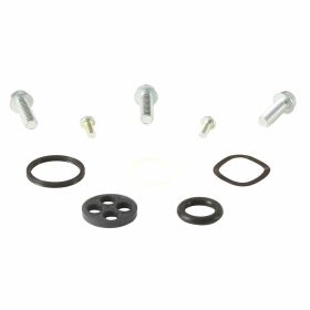 Kit revisione rubinetto benzina All Balls Racing 60-1102