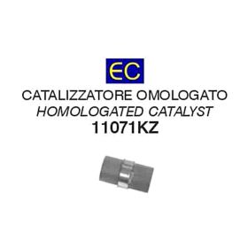 Kit catalizzatore ARROW per Kawasaki
