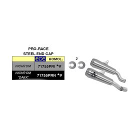 ARROW Pro-Race Nichrom-Auspuff für Kawasaki Z 1000