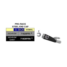 ARROW Pro-Race Dark Nichrom Slip-On Auspuff für Suzuki Katana 1000