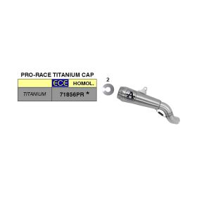 ARROW Pro-Race Titan Slip-On Auspuff für Kawasaki Z 900