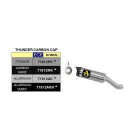Silencieux ARROW Thunder Carbon Slip-On avec embout Carby pour Kawasaki Z 900