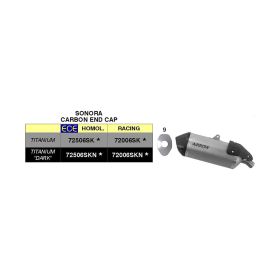 ARROW Sound Slip-On Auspuff Titan mit Carby-Endkappe für Aprilia Tuareg 660