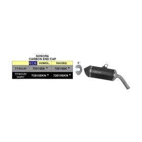Marmitta slip-on ARROW sonora titanio con fondello carby per BMW F 750 gs