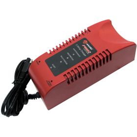 Chargeur de batterie de moto ASAKI 409390175