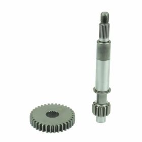 Rapporto primario ATHENA Z13/35