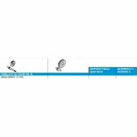 Rapporto primario ATHENA Z13/35