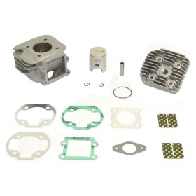 ATHENA Standard Bore 50CC Thermal Group 40mm Reed Valves 29mm
