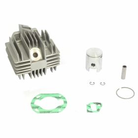 ATHENA Big Bore 80CC Zylinder Thermogrupp 48mm geneigter Ansaugkrümmer für Cagiva CITY