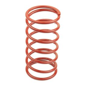 ATHENA 32kg Variator Kontrastfeder D.46mm