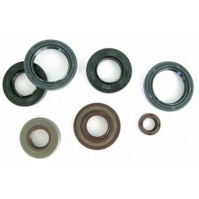 ATHENA M731201580001 OIL SEAL WITH METAL EXTERIOR 25X35X7 MM IN FKM