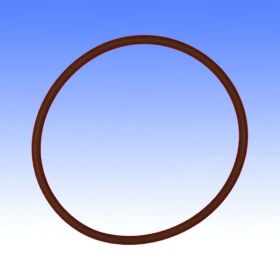 GUARNIZIONE COP VALVOLE ORING 2.62X56.82MM