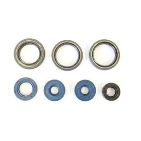 ATHENA P400010400013 Motor Dichtungsset für Aprilia RS
