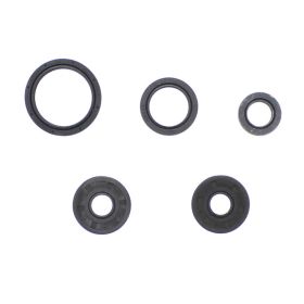 Kit guarnizioni paraoli motore ATHENA P400068400015