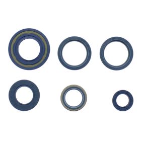 Kit guarnizioni paraoli motore ATHENA P400090400240