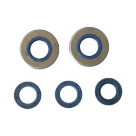 ATHENA Engine Oil Seal Kit P400150400060