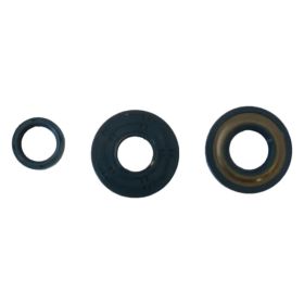 ATHENA P400160400110 engine oil seal kit for Garelli