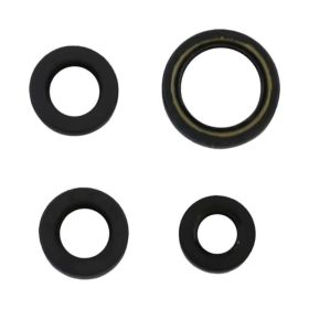ATHENA P400210400005 Engine Oil Seal Kit