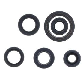 Kit paraolio motore ATHENA P400210400070 per Honda