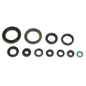 ATHENA P400210400095 Engine Oil Seal Kit for Honda
