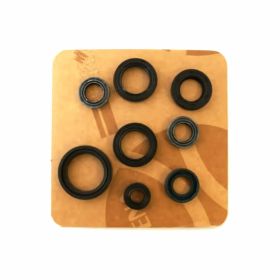 ATHENA P400210400100 engine oil seal kit for Honda