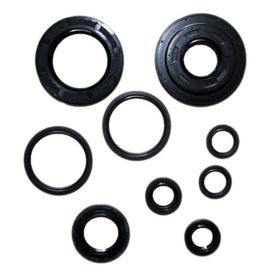 ATHENA Engine Seal Kit P400210400139