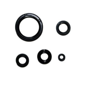 Kit guarnizioni paraoli motore ATHENA P400210400241 per Honda TRX 700 XX