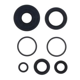 ATHENA P400210400301 Engine Oil Seal Kit for Honda
