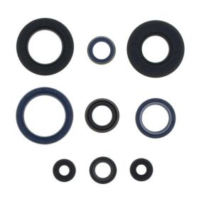 Kit guarnizioni paraoli motore ATHENA P400220400251 per Husqvarna