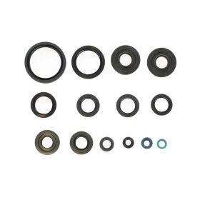 Kit paraolio motore ATHENA P400250400029 per Kawasaki