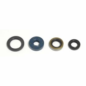 ATHENA P400250400030 Engine Oil Seal Kit for Kawasaki KLX 110
