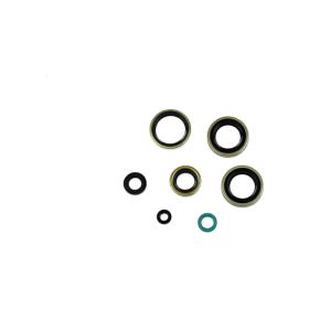 ATHENA P400250400221 Engine Oil Seal Kit for Kawasaki