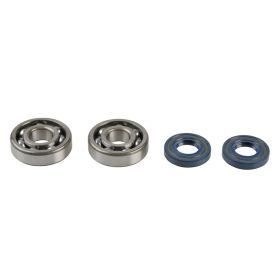 ATHENA P400250444082 Crankshaft bearing kit