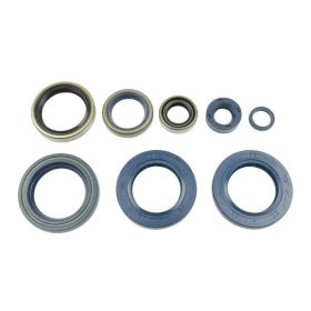 ATHENA P400270400006 Motorabdichtungs-Kit für Ktm