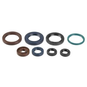 ATHENA P400270400016 Engine Seal Kit for Ktm
