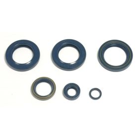Kit guarnizioni paraoli motore ATHENA P400270400051 per Ktm
