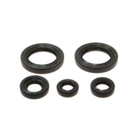 ATHENA P400270400060 Engine Seal Kit for Ktm